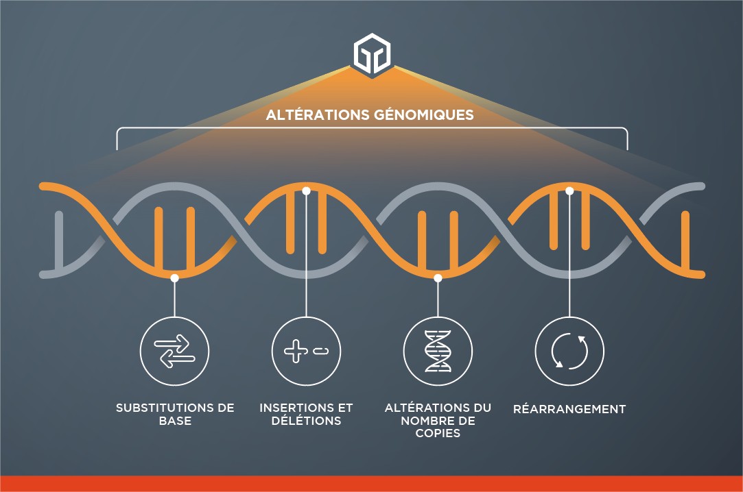 Roche | Foundation Medicine | Les solutions de profilage génomique large de Foundation Medicine permettent l'analyse des 4 principales classes d'altérations génomiques et des signatures moléculaires pertinentes.